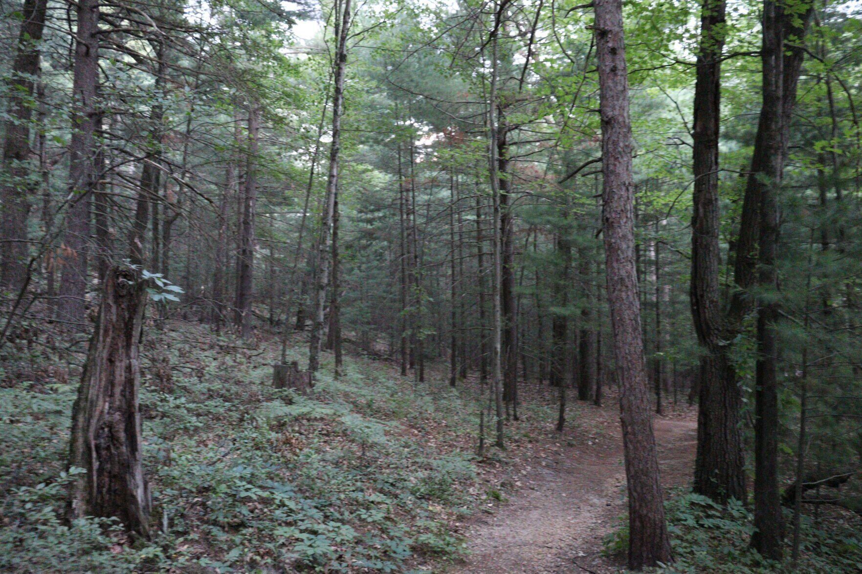 Mill Bluff State Park